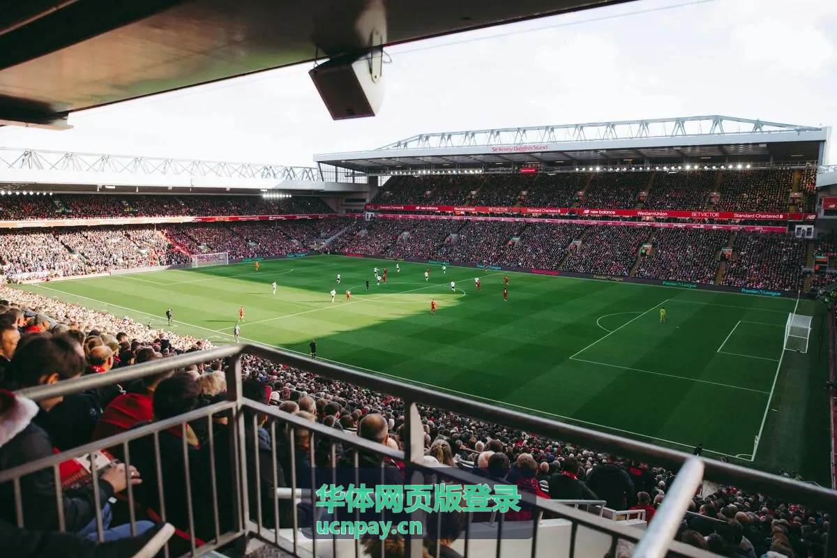 华体网页版登录地址核对操作演示封面